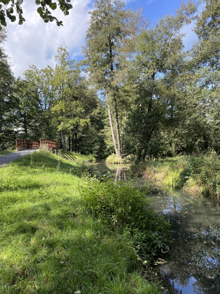 Waldbaden – ganz bewusst im Wald